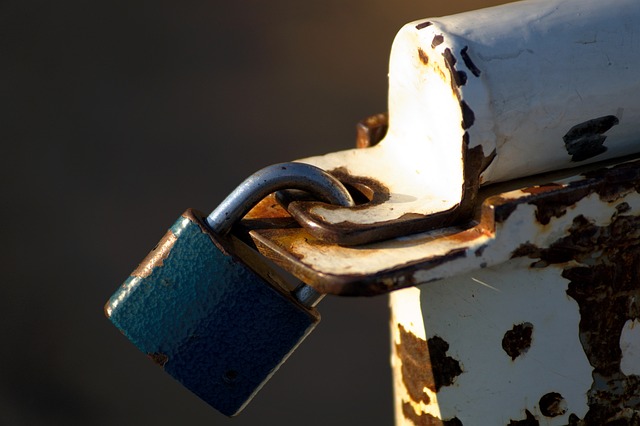 Business Interruption Insurance