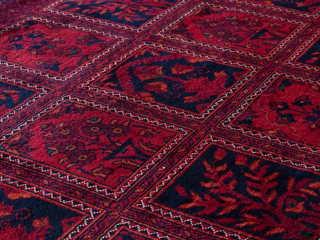 Carpet Cleaning