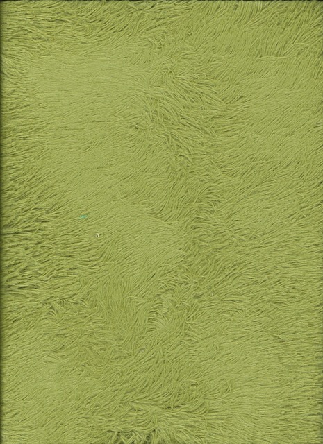 Carpet Cleaning
