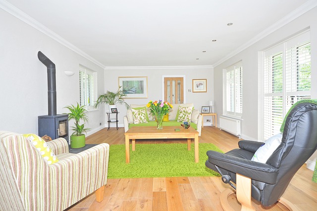 Carpet Cleaning