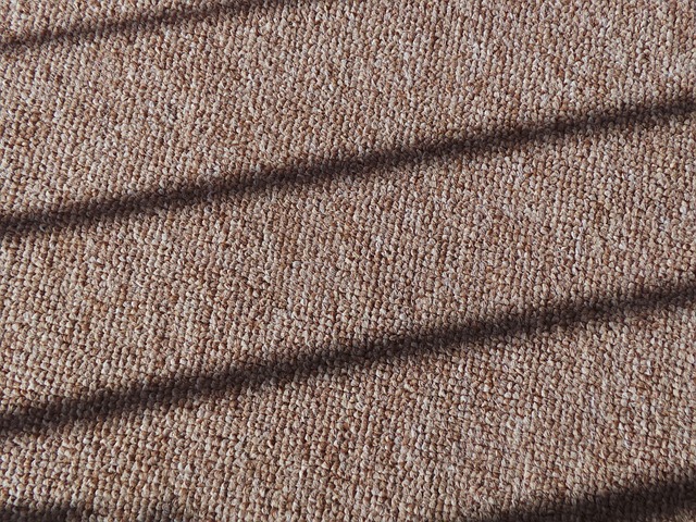 Carpet Cleaning