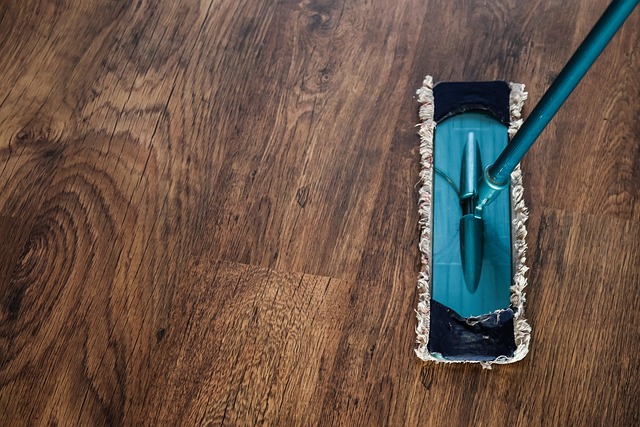 Carpet Cleaning