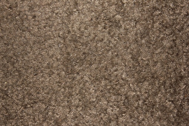 Carpet Cleaning