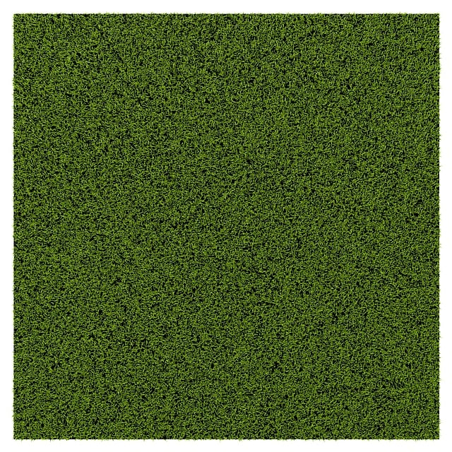 Carpet Cleaning for High-Traffic Areas