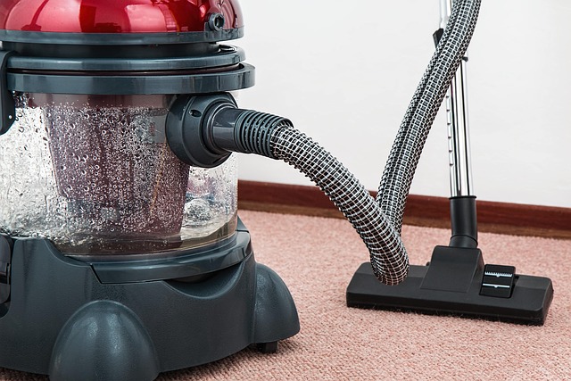 Carpet Cleaning for High-Traffic Areas
