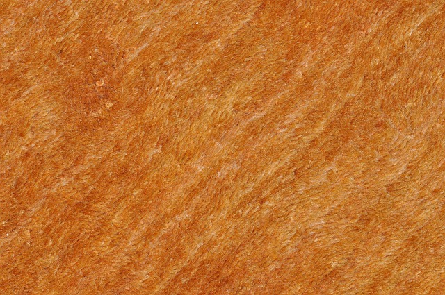 Carpet Cleaning for High-Traffic Areas