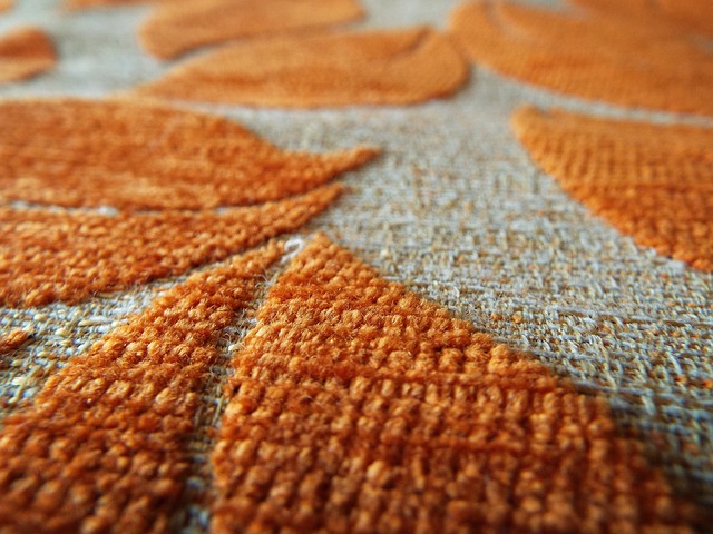 Carpet Cleaning Services