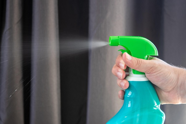 carpet-cleaning-services-with-free-estim-640x480-98517630.jpeg