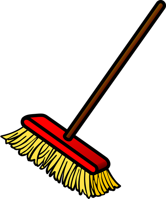 Carpet Cleaning with Stain and Odor Removal