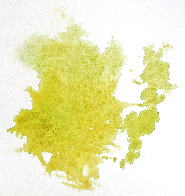 Carpet Cleaning with Stain and Odor Removal