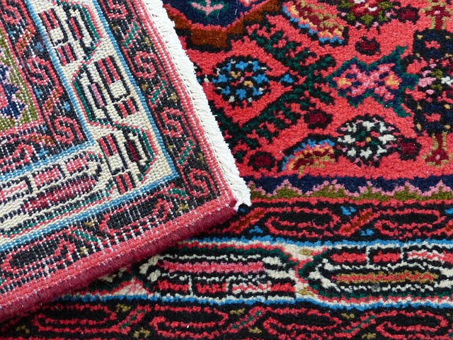 Carpet Cleaning with Stain and Odor Removal