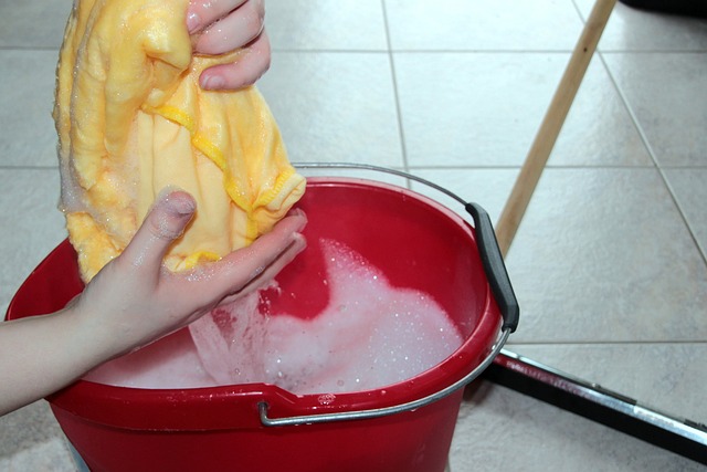 Carpet Cleaning with Stain and Odor Removal