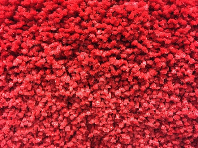 Carpet Shampooing