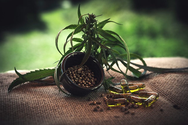 CBD Pain Relief Cream