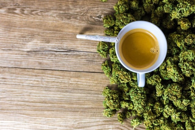cbd-pain-relief-cream-640x480-80278132.jpeg