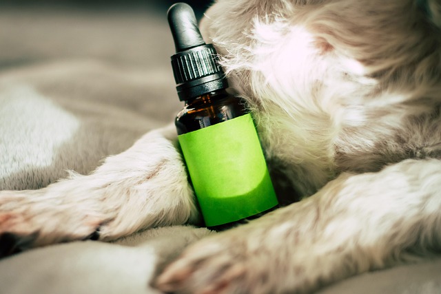 CBD Vape Cartridge