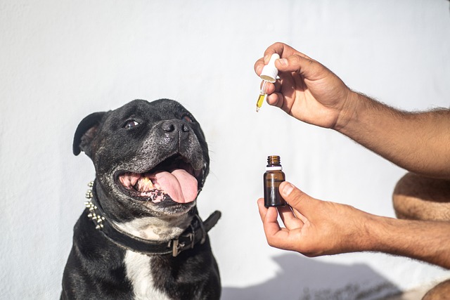 cbd-vape-cartridge-640x480-9970649.jpeg