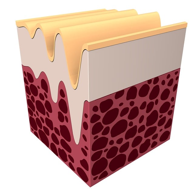 Collagen Stimulation