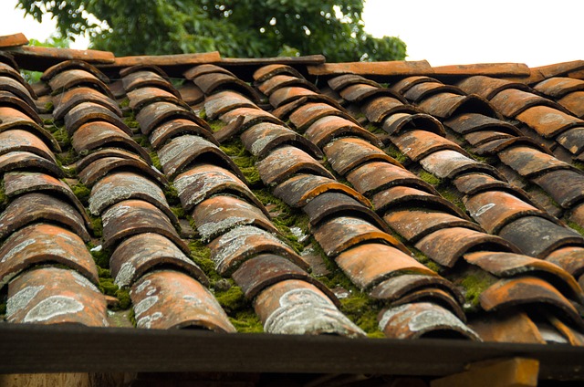 Commercial Roofing