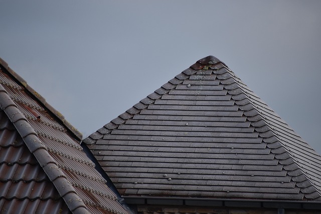 Commercial Roofing Solutions