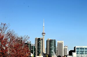 Expert Foundation Repair: Concrete Solutions for Structural Stability