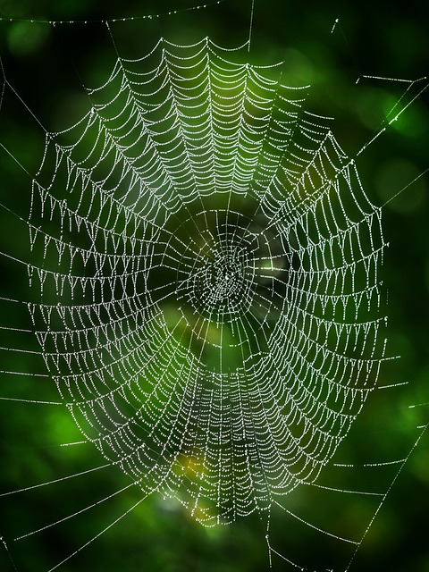 creative web design