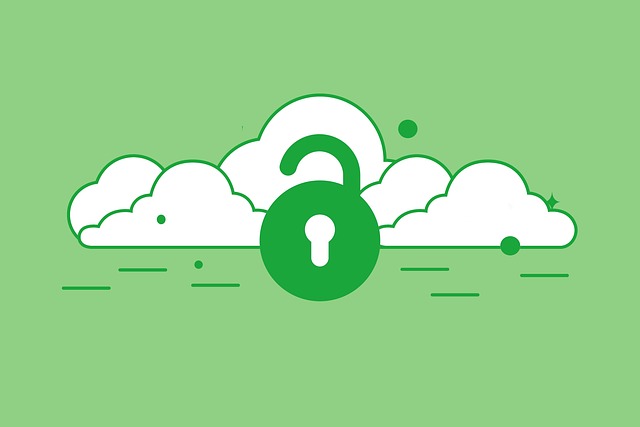 Cyber Insurance