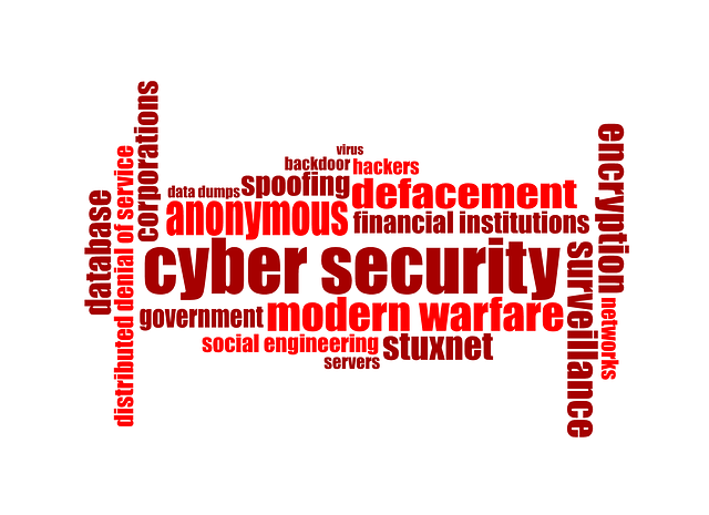 Cyber Insurance