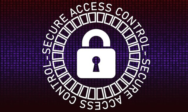 Cyber Insurance for Data Protection