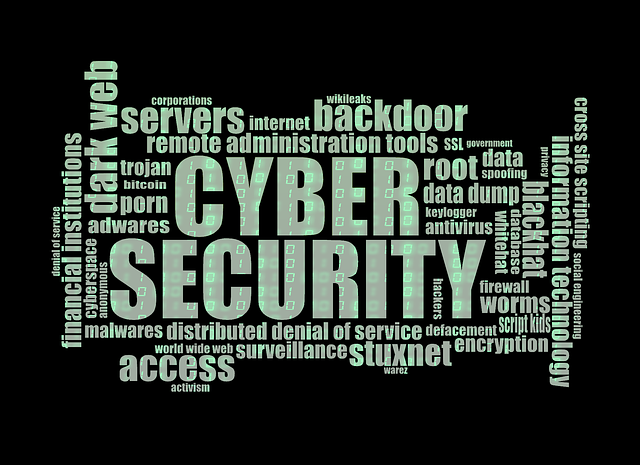 Cyber Insurance for Data Protection