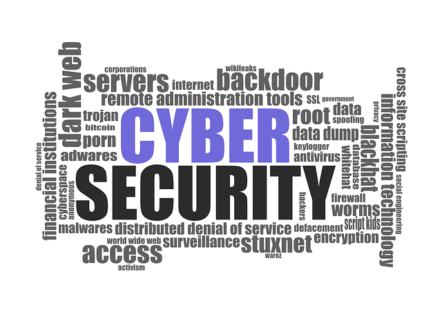 Cyber Insurance for Data Protection