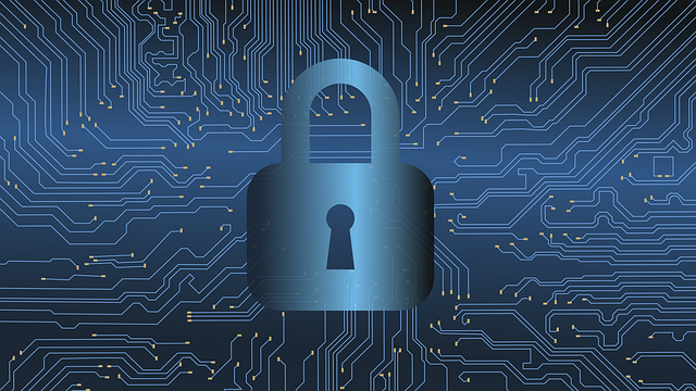 Cyber Insurance for Data Protection