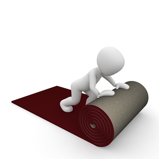 DIY vs. Professional Carpet Cleaning