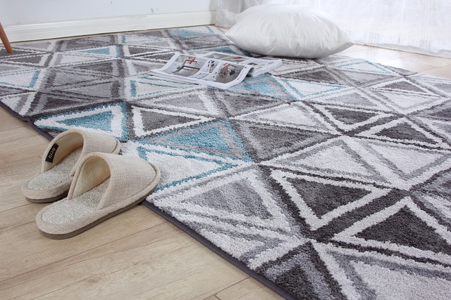 DIY vs. Professional Carpet Cleaning