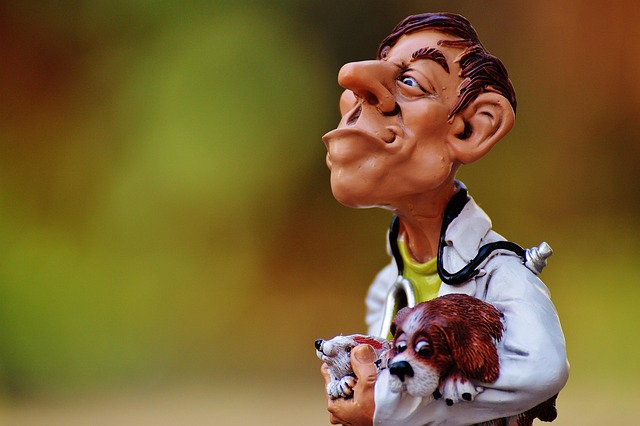 doctor marketing services