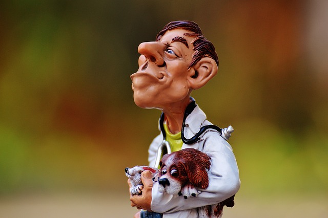 doctor marketing services