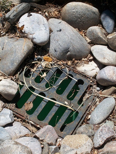 drain cleaning services