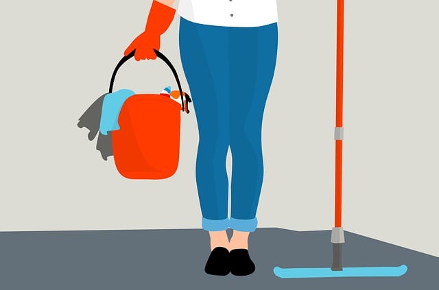 Dry Carpet Cleaning