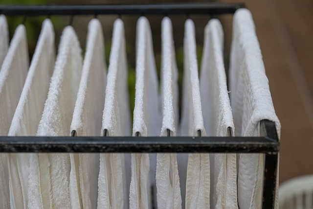 Dry Carpet Cleaning