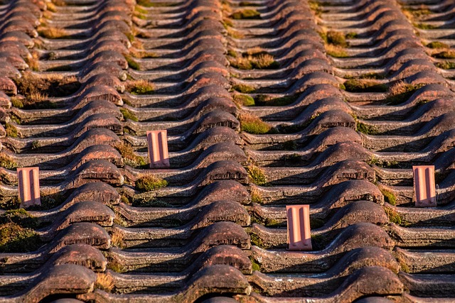 durable roofing materials
