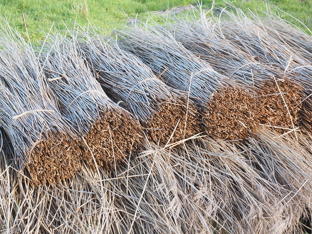 durable roofing materials
