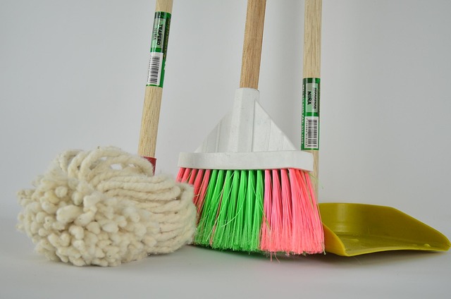 Eco-Friendly Carpet Cleaning