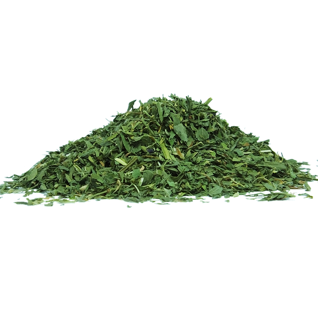 Eco-Friendly Carpet Cleaning