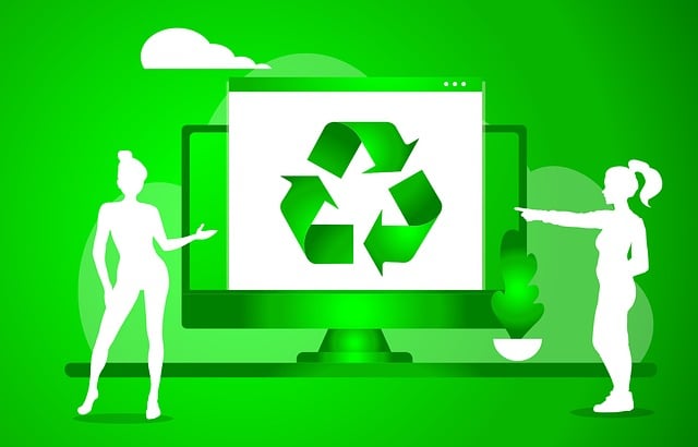 Eco-Friendly Carpet Cleaning