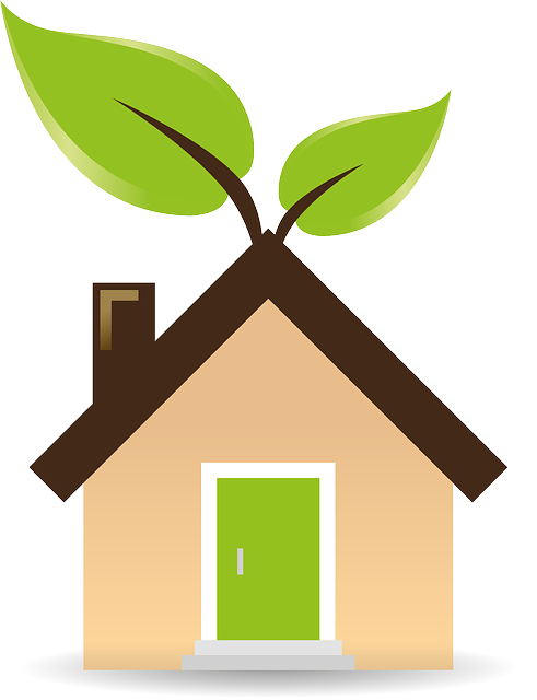 Eco-Friendly Carpet Cleaning
