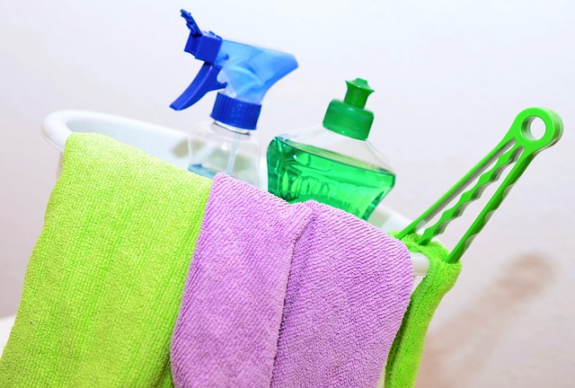 Eco-Friendly Carpet Cleaning