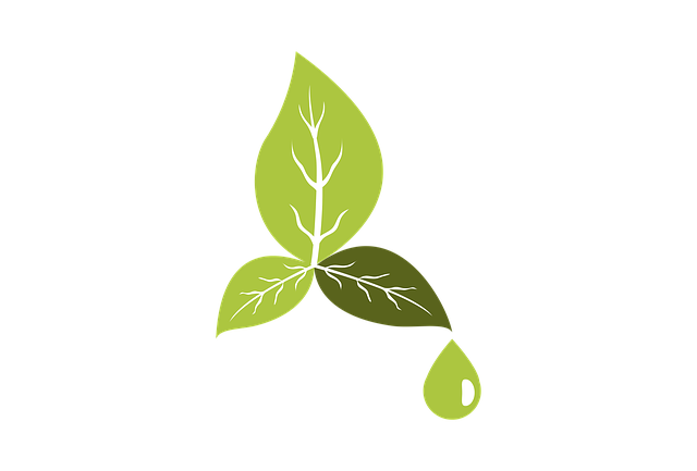 Eco-Friendly Carpet Cleaning