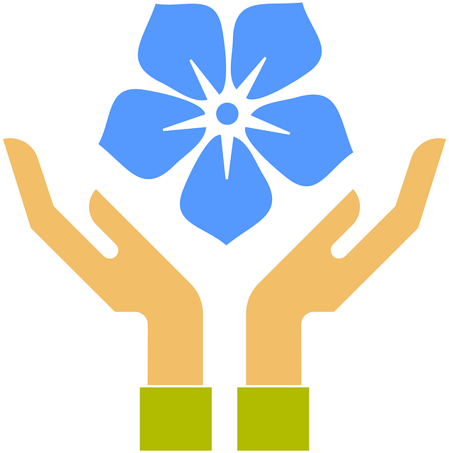 Eco-Friendly Carpet Cleaning