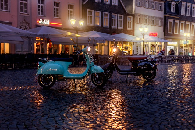 electric scooters for adults
