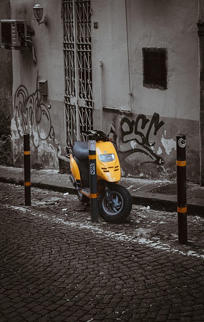 electric scooters for adults